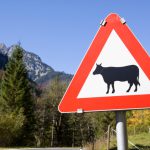 Driving in Spain