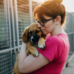 Volunteering to help animals in Spain
